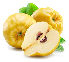 Birskörte Lek-Varázs